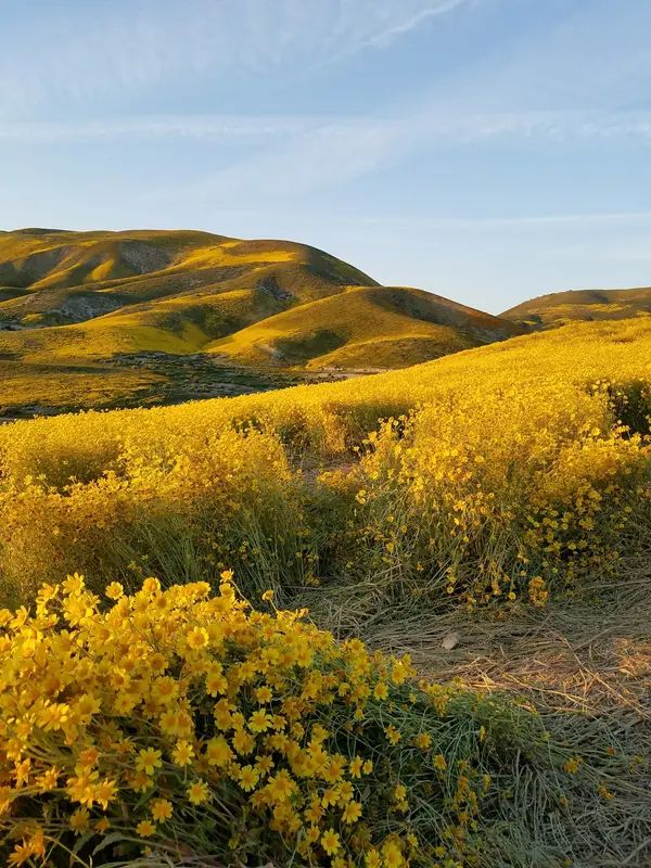 California Valley