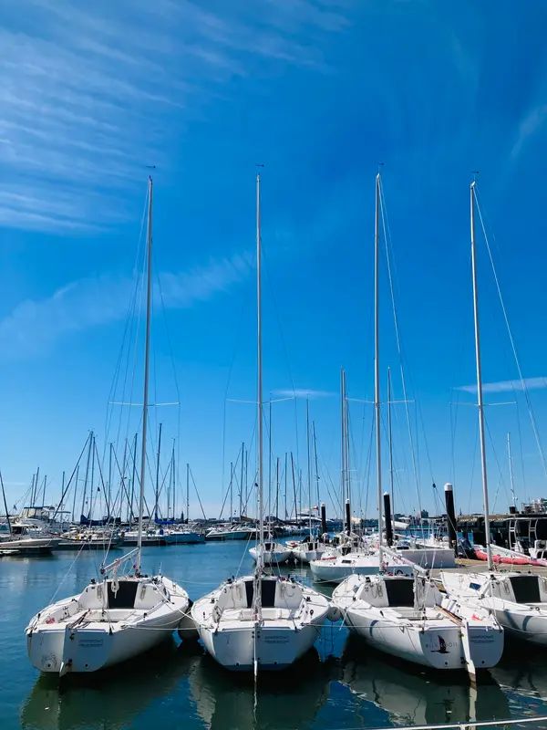 Charleston Harbor Marina