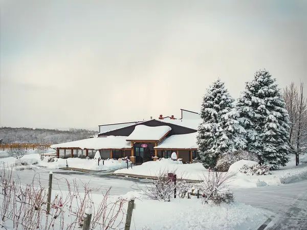 Chateau Grand Traverse