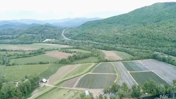 Darnell Farms
