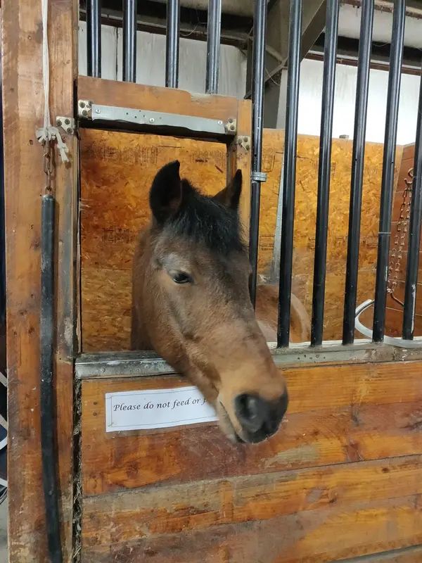 Eaton Equestrian Center
