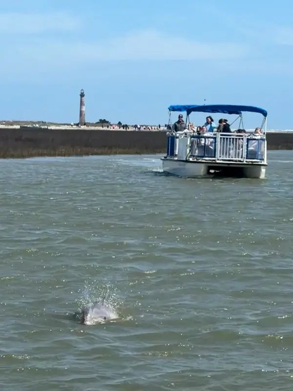 Flipper Finders Boat Tours