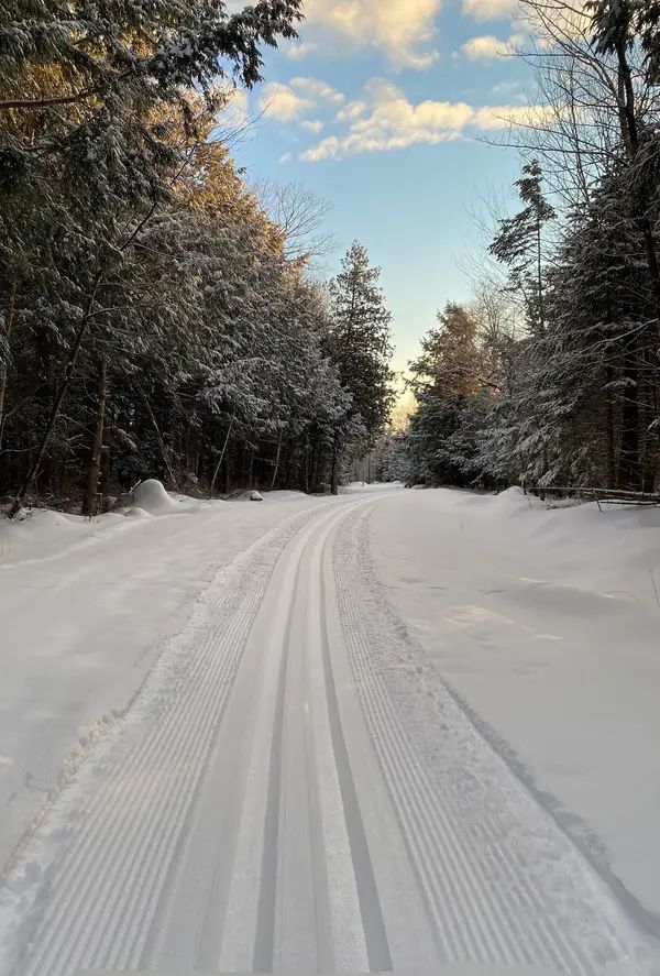 Friends of A Fierce Chase Cross Country Ski Trails