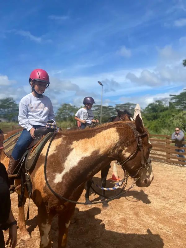 Hawaii Horsemanship Academy
