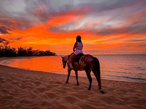 Hawaii Polo Oceanfront Trail Rides