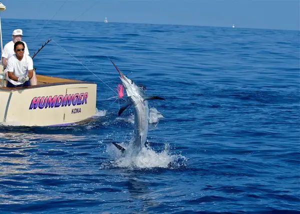 Humdinger Sportfishing