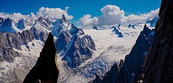 International Alpine Guides