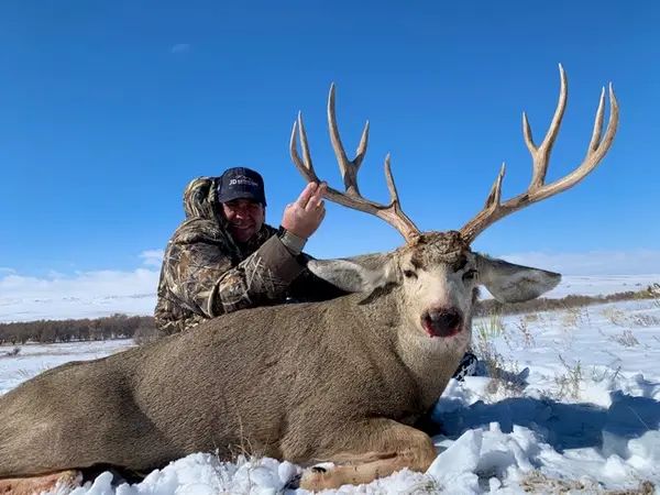 J & D Outfitting & Guide Services