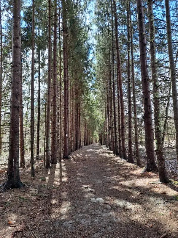 King Preserve