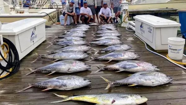 Knot Tell'n Fishing Charters