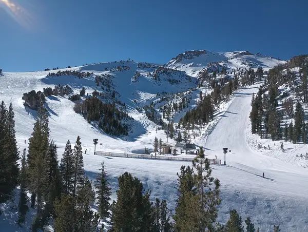 Mammoth Mountain Ski Area