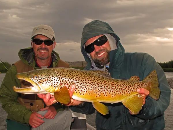 Montana Angler