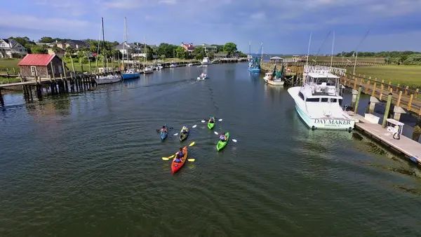 Nature Adventures on Shem Creek