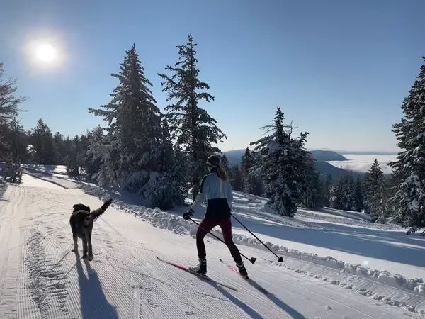 Nevada Nordic
