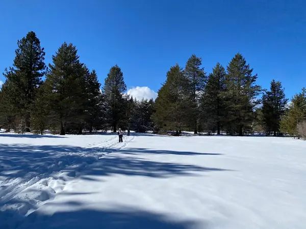 Nordic Ski Trails at the Lake Tahoe Community College