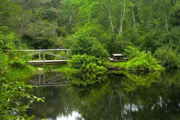 Pachaug State Forest OHV Trails