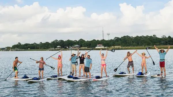 Charleston SUP Safaris