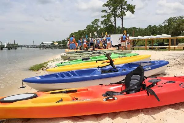 Dolphin Cove Marina Gulf Shores, AL
