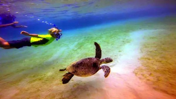 Hawai'i Surf and Kayak