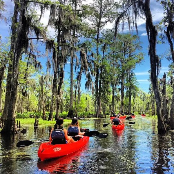 New Orleans Kayak Swamp Tours