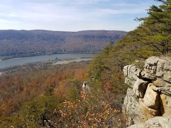 Prentice Cooper State Forest