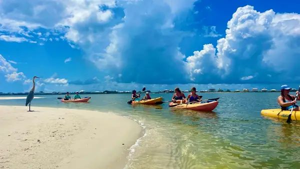 Pure Aloha Adventures