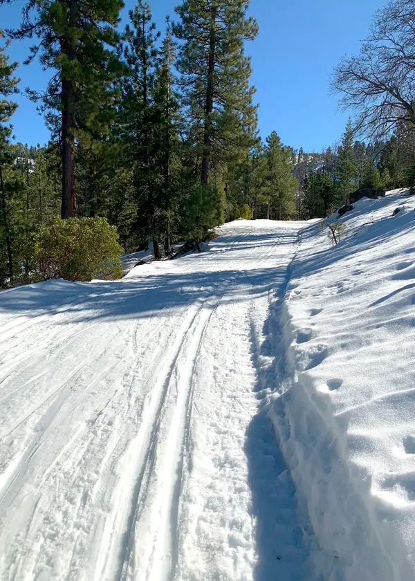 Rim Nordic XC Ski Area & Mountain Bike Park