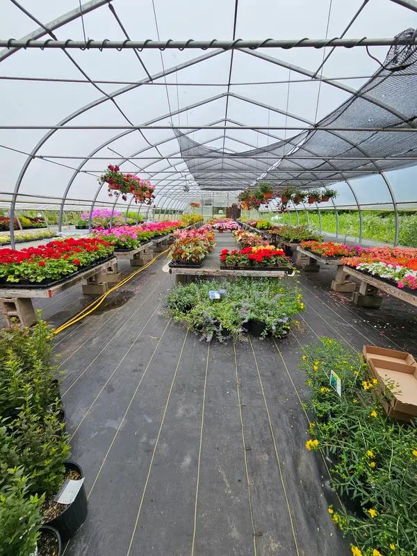 River Berry Farm