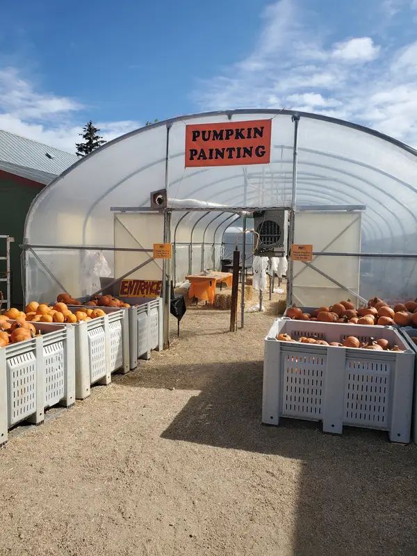 Rocky Mountain Pumpkin Ranch