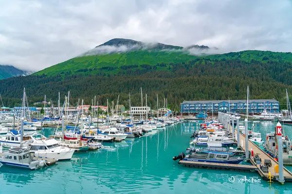 Seward Boat Harbor