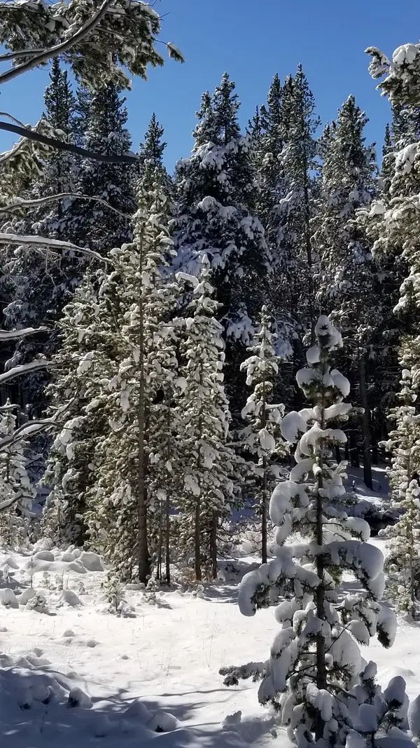 Sibley Lake Nordic Trails