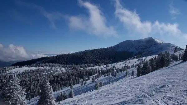 Ski Apache