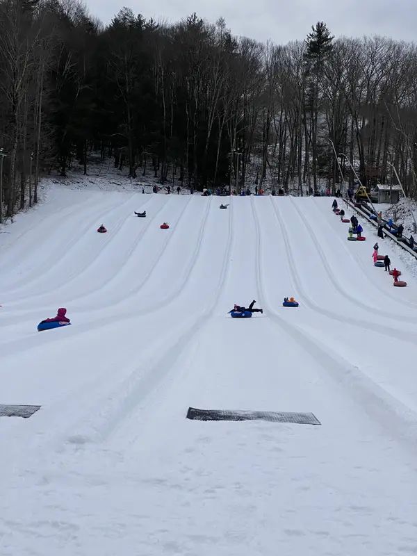 Ski Butternut