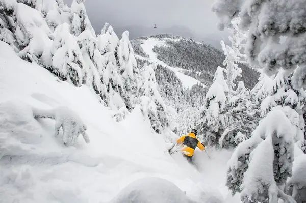 Ski The Peak Tours