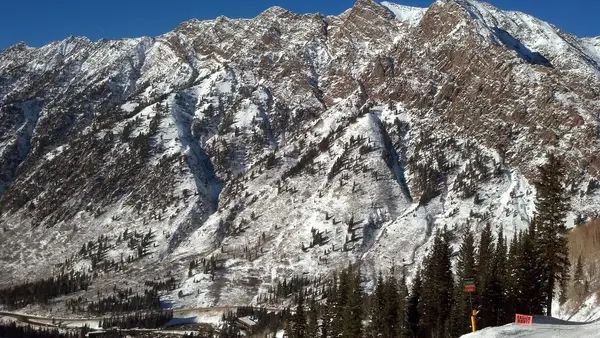 Snowbird