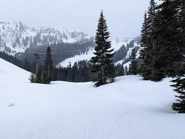 Stevens Pass Nordic Center