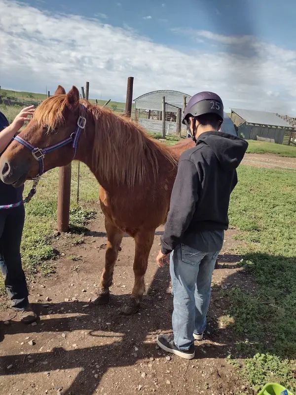 Suncatcher Therapeutic Riding