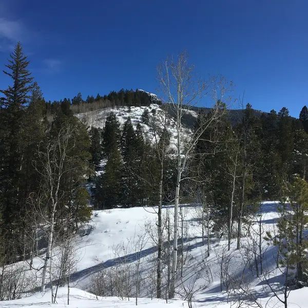 Vail Ski and Snowboard Academy