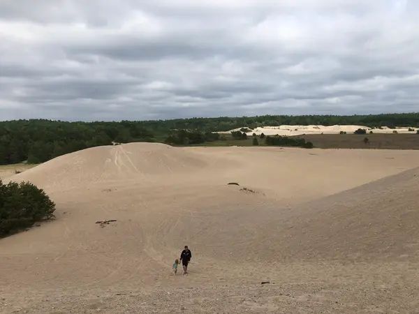 West Greenwich Sand Dunes