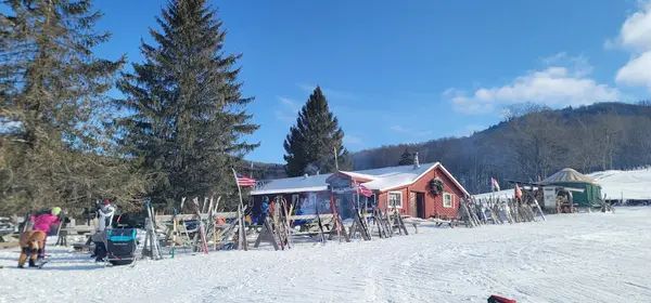 White Grass