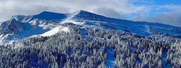 White Pass Ski Area
