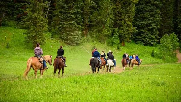 Yellowstone Horseback Riding at The Diamond P Ranch