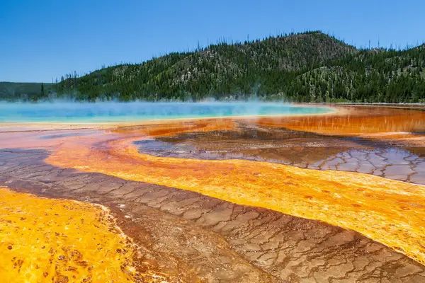 Yellowstone Safari Company